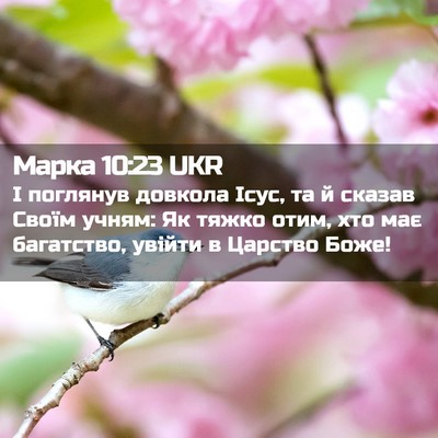 Picture 02 - Марка 10:23 UKR - І поглянув довкола Ісус, та - Bible Verse Picture