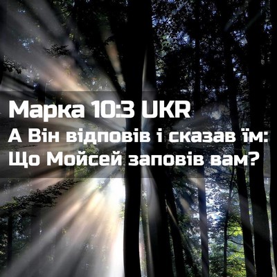Picture 02 - Марка 10:3 UKR - А Він відповів і сказав їм: - Bible Verse Picture