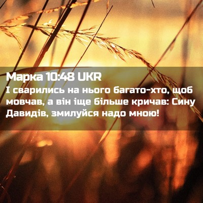 Picture 02 - Марка 10:48 UKR - І сварились на нього - Bible Verse Picture
