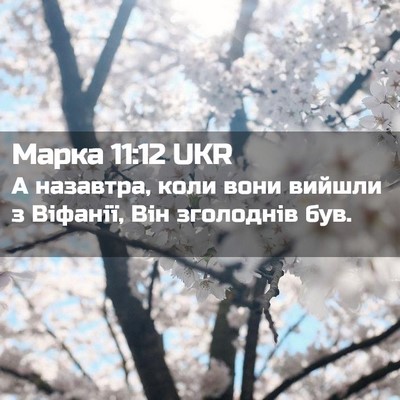 Picture 02 - Марка 11:12 UKR - А назавтра, коли вони - Bible Verse Picture