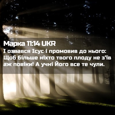 Picture 02 - Марка 11:14 UKR - І озвався Ісус і промовив - Bible Verse Picture
