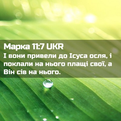Picture 02 - Марка 11:7 UKR - І вони привели до Ісуса - Bible Verse Picture