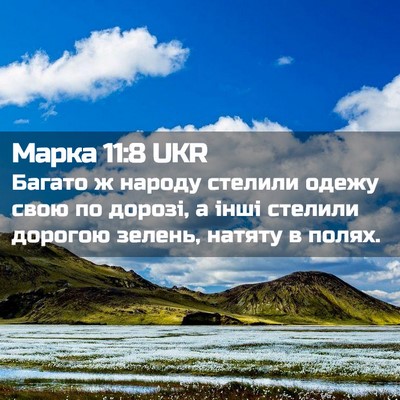 Picture 02 - Марка 11:8 UKR - Багато ж народу стелили - Bible Verse Picture