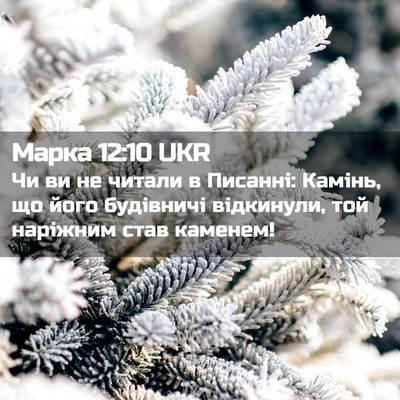 Picture 02 - Марка 12:10 UKR - Чи ви не читали в Писанні: - Bible Verse Picture