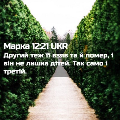 Picture 02 - Марка 12:21 UKR - Другий теж її взяв та й - Bible Verse Picture
