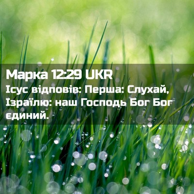 Picture 02 - Марка 12:29 UKR - Ісус відповів: Перша: - Bible Verse Picture