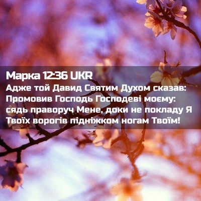 Picture 02 - Марка 12:36 UKR - Адже той Давид Святим - Bible Verse Picture