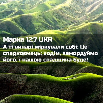 Picture 02 - Марка 12:7 UKR - А ті винарі міркували собі: - Bible Verse Picture