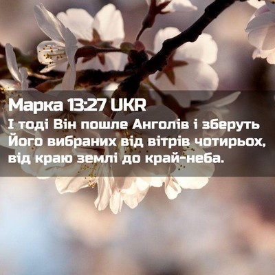 Picture 02 - Марка 13:27 UKR - І тоді Він пошле Анголів і - Bible Verse Picture