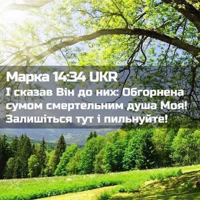 Picture 02 - Марка 14:34 UKR - І сказав Він до них: - Bible Verse Picture