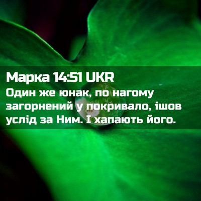 Picture 02 - Марка 14:51 UKR - Один же юнак, по нагому - Bible Verse Picture