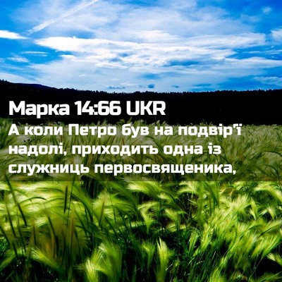 Picture 02 - Марка 14:66 UKR - А коли Петро був на - Bible Verse Picture