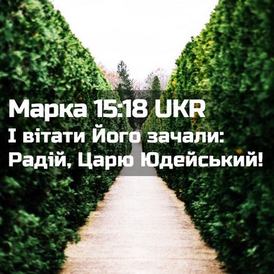 Picture 02 - Марка 15:18 UKR - І вітати Його зачали: - Bible Verse Picture