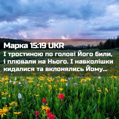 Picture 02 - Марка 15:19 UKR - І тростиною по голові Його - Bible Verse Picture