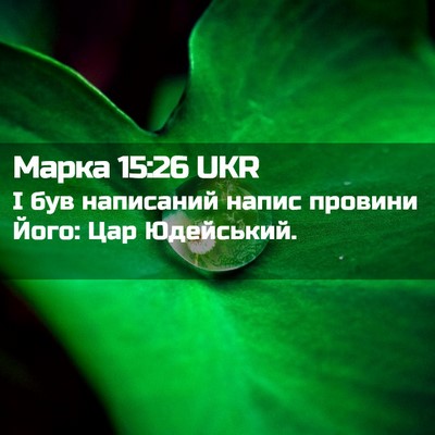 Picture 02 - Марка 15:26 UKR - І був написаний напис - Bible Verse Picture