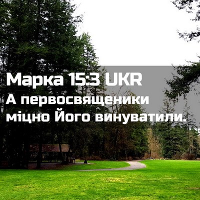 Picture 02 - Марка 15:3 UKR - А первосвященики міцно - Bible Verse Picture