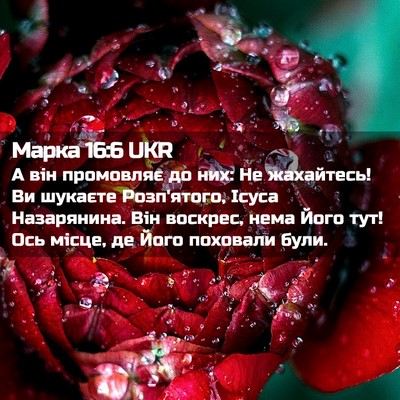 Picture 02 - Марка 16:6 UKR - А він промовляє до них: Не - Bible Verse Picture