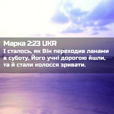 Picture 02 - Марка 2:23 UKR - І сталось, як Він переходив - Bible Verse Picture