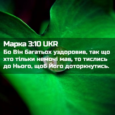 Picture 02 - Марка 3:10 UKR - Бо Він багатьох уздоровив, - Bible Verse Picture