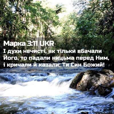 Picture 02 - Марка 3:11 UKR - І духи нечисті, як тільки - Bible Verse Picture