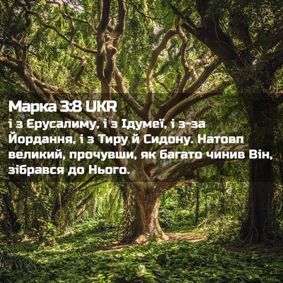 Picture 02 - Марка 3:8 UKR - і з Єрусалиму, і з Ідумеї, і - Bible Verse Picture