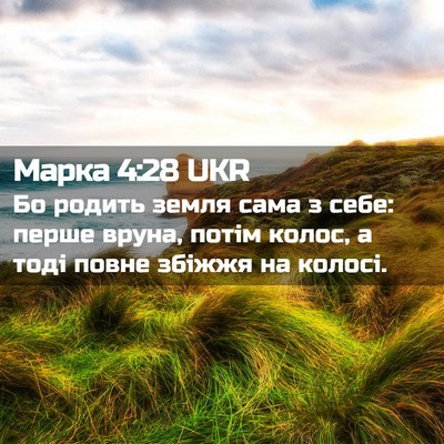 Picture 02 - Марка 4:28 UKR - Бо родить земля сама з - Bible Verse Picture