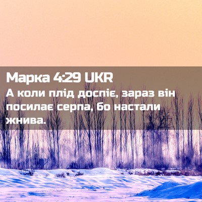 Picture 02 - Марка 4:29 UKR - А коли плід доспіє, зараз - Bible Verse Picture
