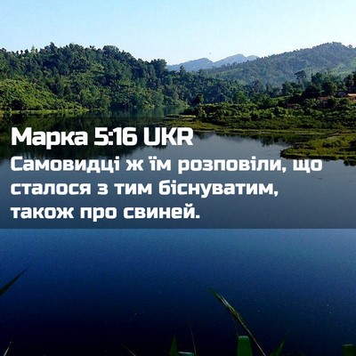 Picture 02 - Марка 5:16 UKR - Самовидці ж їм розповіли, - Bible Verse Picture