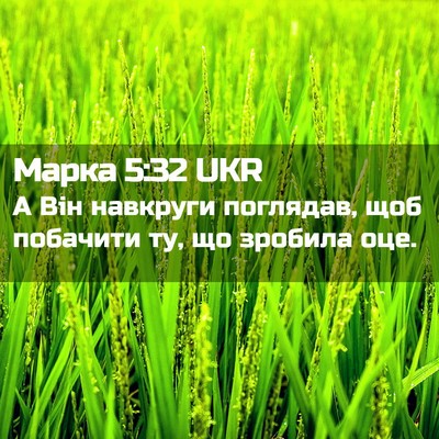 Picture 02 - Марка 5:32 UKR - А Він навкруги поглядав, - Bible Verse Picture