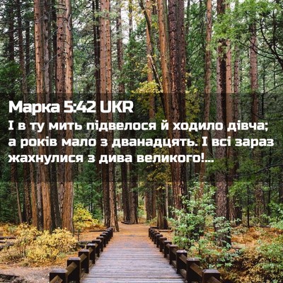Picture 02 - Марка 5:42 UKR - І в ту мить підвелося й - Bible Verse Picture