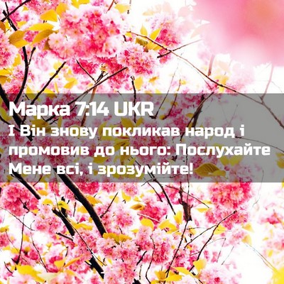 Picture 02 - Марка 7:14 UKR - І Він знову покликав народ - Bible Verse Picture