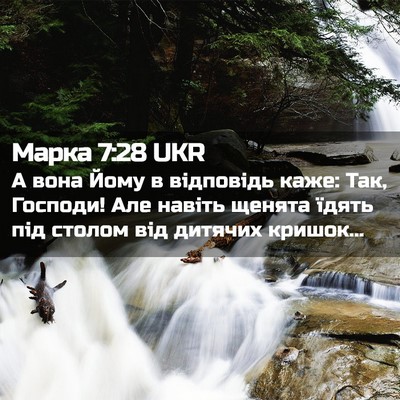 Picture 02 - Марка 7:28 UKR - А вона Йому в відповідь - Bible Verse Picture