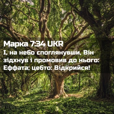 Picture 02 - Марка 7:34 UKR - І, на небо споглянувши, Він - Bible Verse Picture