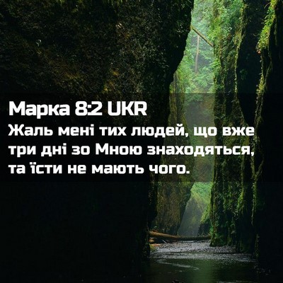 Picture 02 - Марка 8:2 UKR - Жаль мені тих людей, що вже - Bible Verse Picture