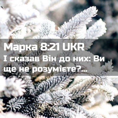 Picture 02 - Марка 8:21 UKR - І сказав Він до них: Ви ще - Bible Verse Picture