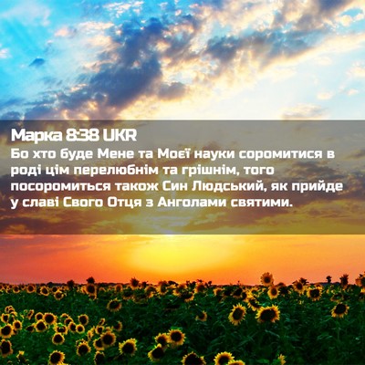 Picture 02 - Марка 8:38 UKR - Бо хто буде Мене та Моєї - Bible Verse Picture