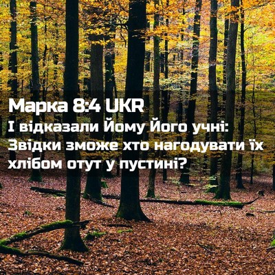 Picture 02 - Марка 8:4 UKR - І відказали Йому Його учні: - Bible Verse Picture