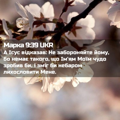 Picture 02 - Марка 9:39 UKR - А Ісус відказав: Не - Bible Verse Picture