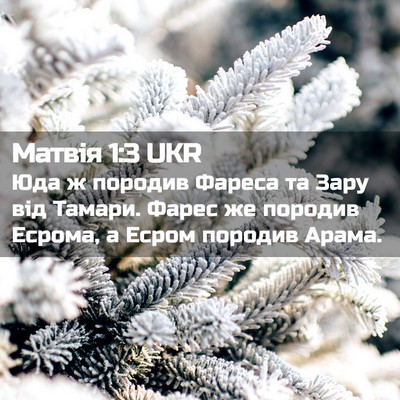 Picture 02 - Матвія 1:3 UKR - Юда ж породив Фареса та - Bible Verse Picture