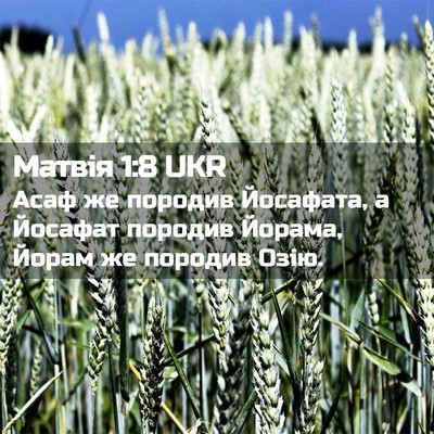Picture 02 - Матвія 1:8 UKR - Асаф же породив Йосафата, а - Bible Verse Picture