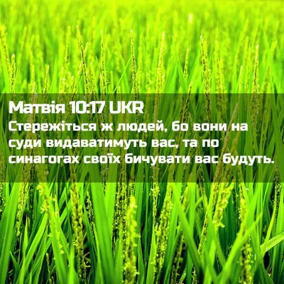Picture 02 - Матвія 10:17 UKR - Стережіться ж людей, бо - Bible Verse Picture