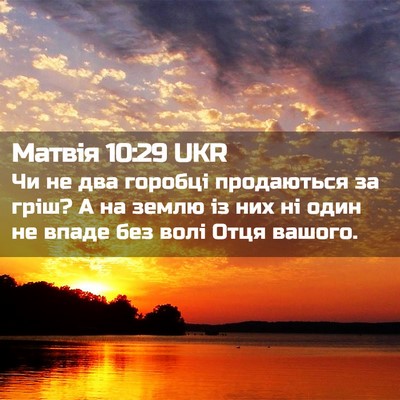 Picture 02 - Матвія 10:29 UKR - Чи не два горобці - Bible Verse Picture