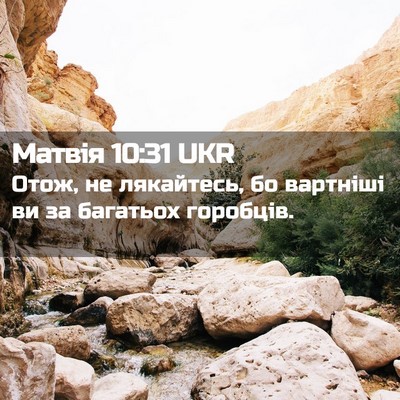 Picture 02 - Матвія 10:31 UKR - Отож, не лякайтесь, бо - Bible Verse Picture