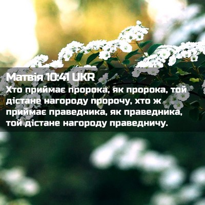 Picture 02 - Матвія 10:41 UKR - Хто приймає пророка, як - Bible Verse Picture