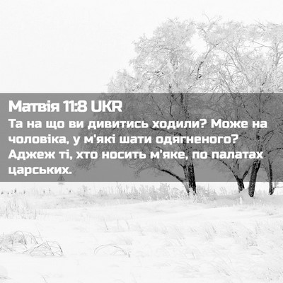 Picture 02 - Матвія 11:8 UKR - Та на що ви дивитись - Bible Verse Picture