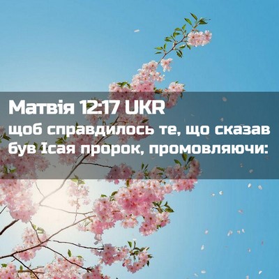 Picture 02 - Матвія 12:17 UKR - щоб справдилось те, що - Bible Verse Picture