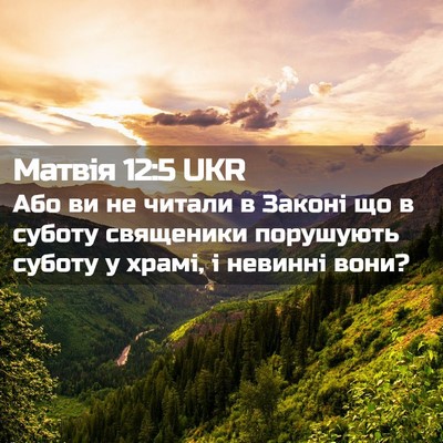 Picture 02 - Матвія 12:5 UKR - Або ви не читали в Законі - Bible Verse Picture