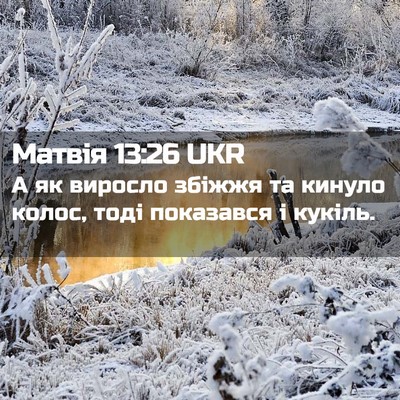 Picture 02 - Матвія 13:26 UKR - А як виросло збіжжя та - Bible Verse Picture