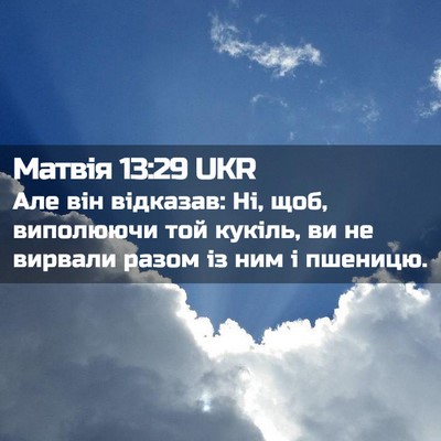 Picture 02 - Матвія 13:29 UKR - Але він відказав: Ні, щоб, - Bible Verse Picture