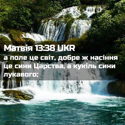 Picture 02 - Матвія 13:38 UKR - а поле це світ, добре ж - Bible Verse Picture